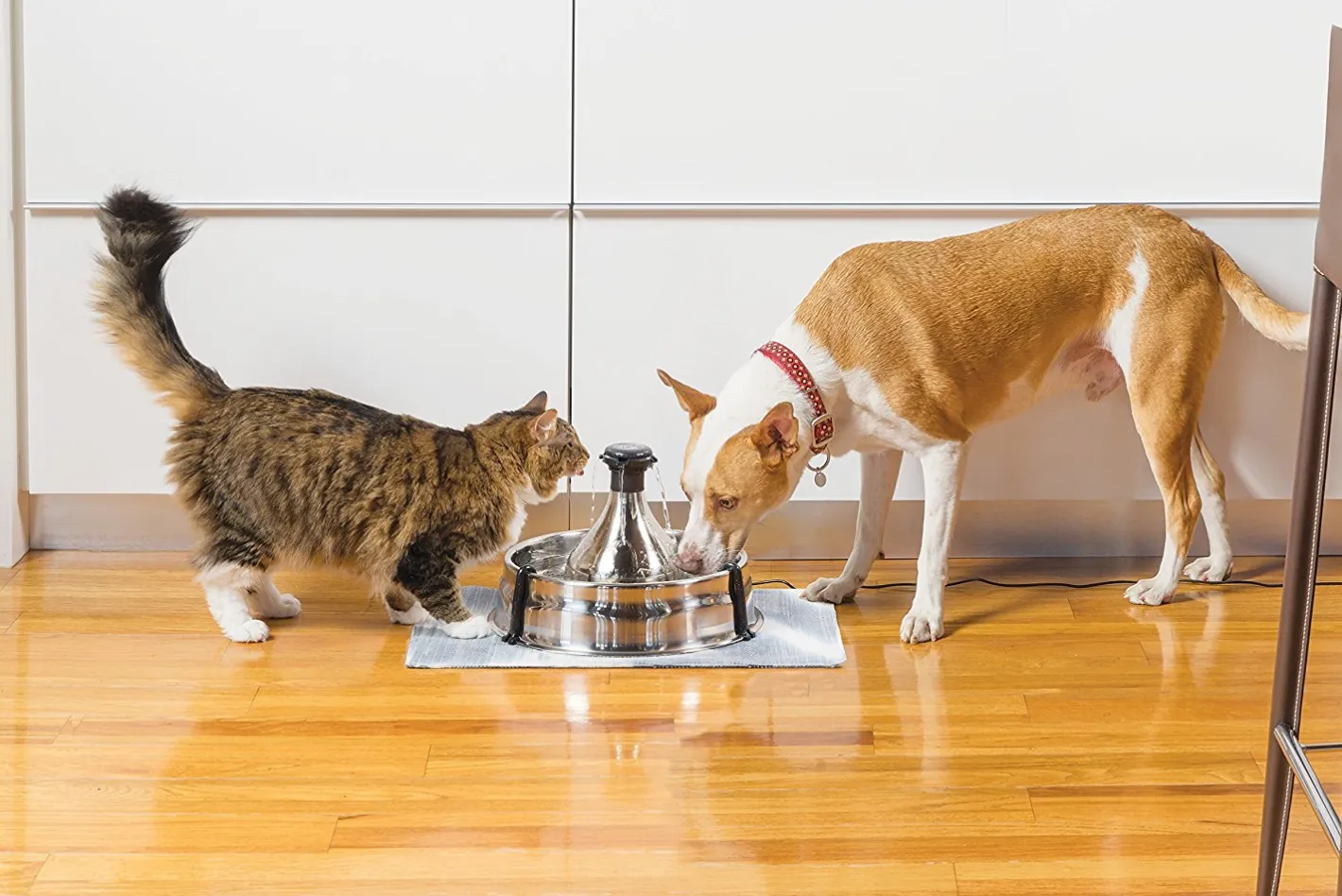 Drinkwell 360 Stainless Steel Multi-Pet Drinking Fountain 3.8 Litres Discount