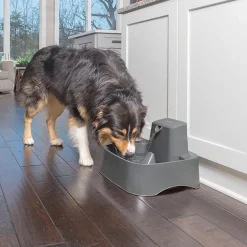 Drinkwell Charcoal Filtered Pet Water Fountain for Cats & Dogs - 7.5 Litre Sale