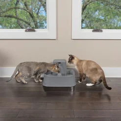 Drinkwell Charcoal Filtered Pet Water Fountain for Cats & Dogs - 7.5 Litre Sale