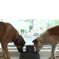Drinkwell Charcoal Filtered Pet Water Fountain for Cats & Dogs - 7.5 Litre Sale