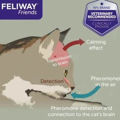 Feliway Friends Calming Pheromone for Multi-Cats - 48ml Refill Bottle Sale