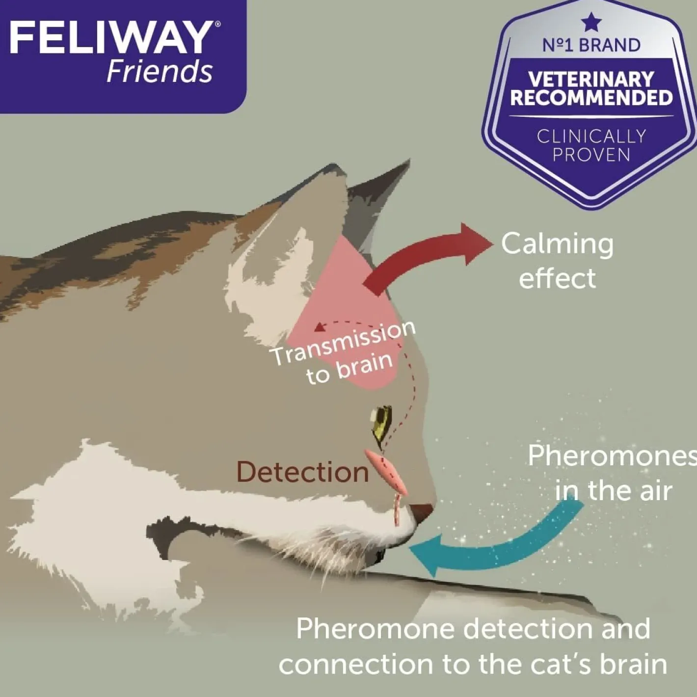 Feliway Friends Calming Pheromone for Multi-Cat Homes - Diffuser Kit with 48ml Bottle Discount