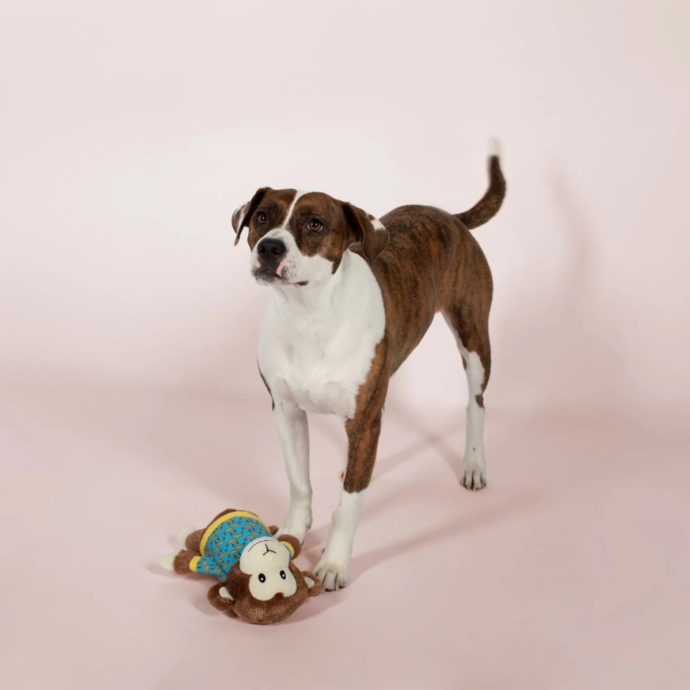 Fringe Studio Bananas The Monkey Plush Dog Toy - Extra Large Best