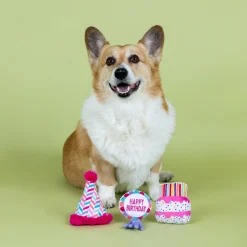Fringe Studio Can I Get A Woofwoof 3-piece Small Dog Toys Best