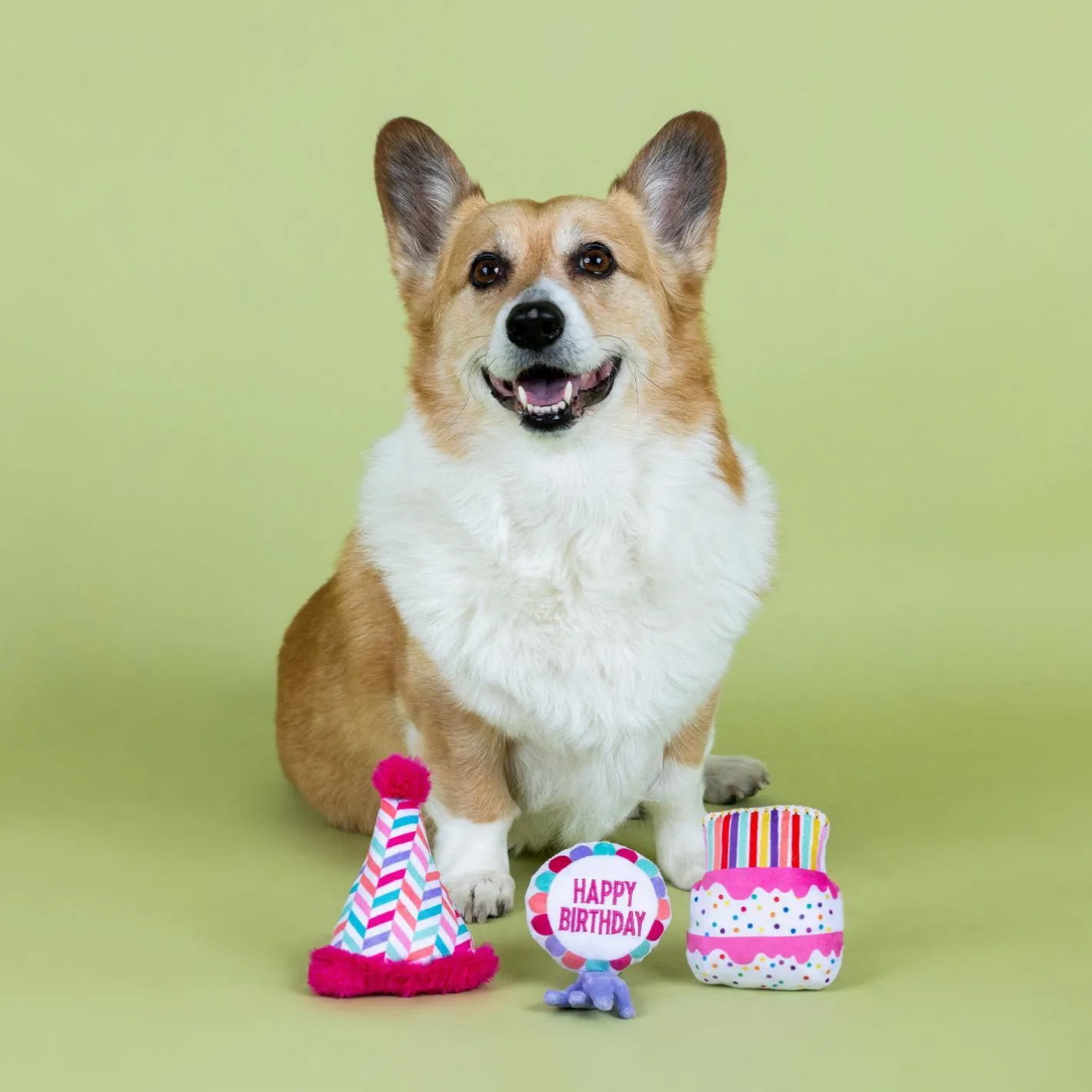 Fringe Studio Can I Get A Woofwoof 3-piece Small Dog Toys Best