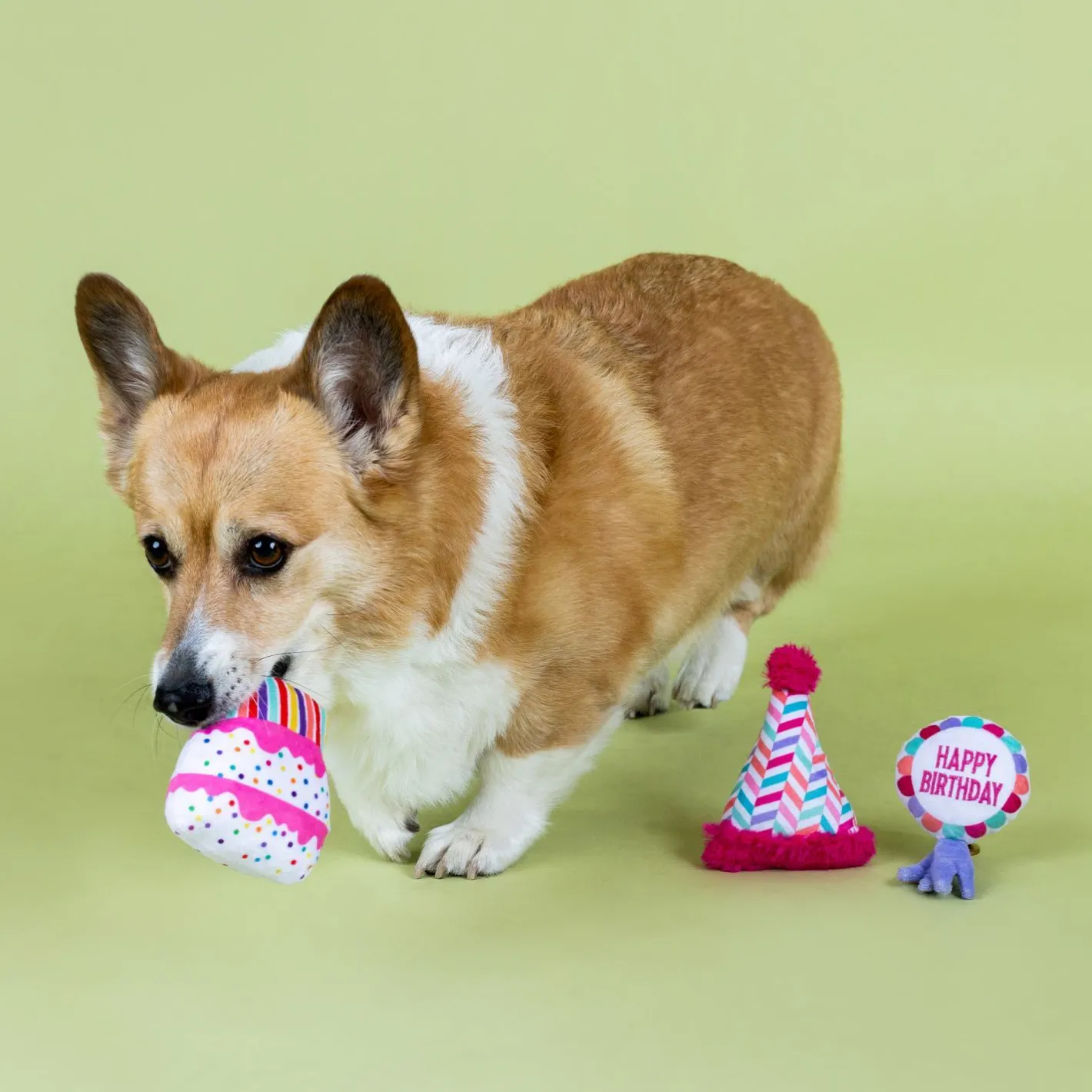 Fringe Studio Can I Get A Woofwoof 3-piece Small Dog Toys Best