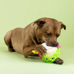 Fringe Studio Coc-nuts About You Plush Dog Toy Discount