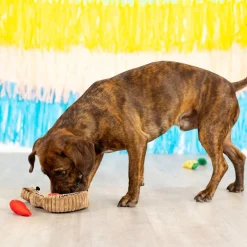 Fringe Studio Fiesta Till You Siesta Guitar & Chili Hide & Seek Burrow Dog Toy Sale