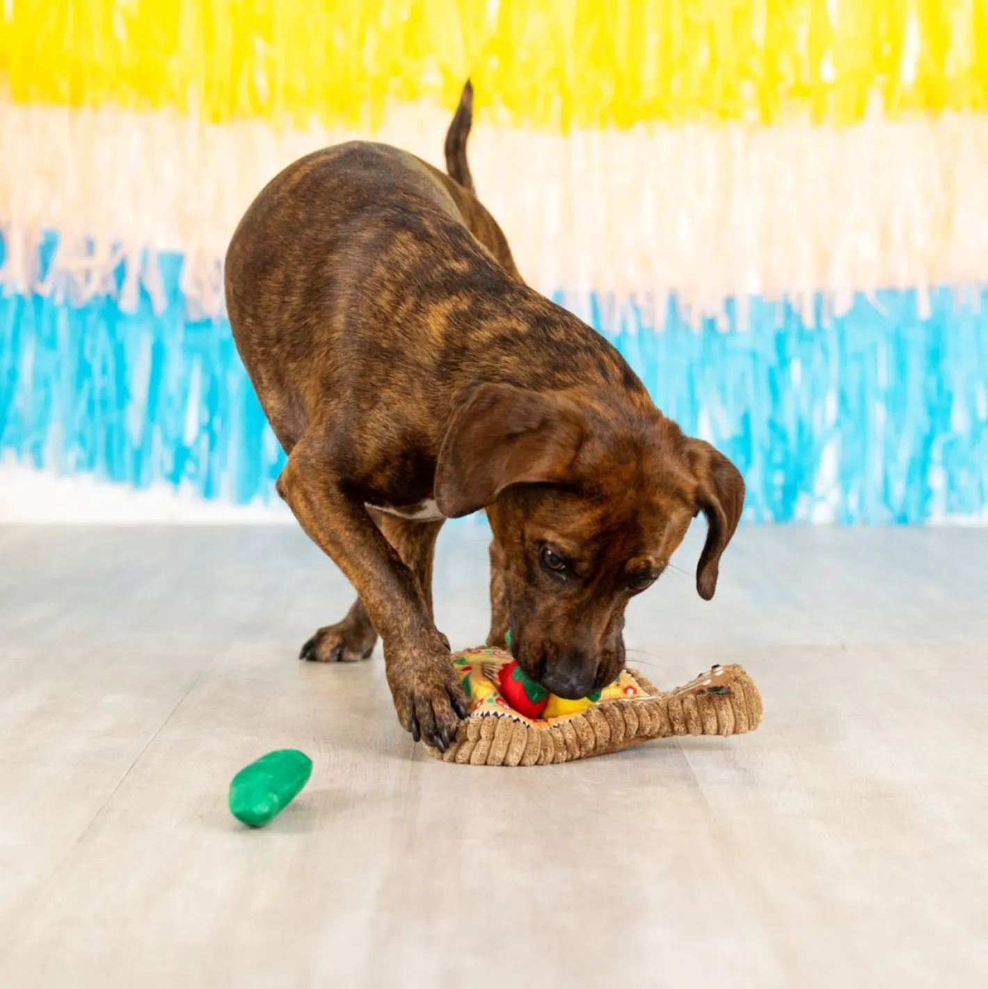 Fringe Studio Fiesta Till You Siesta Guitar & Chili Hide & Seek Burrow Dog Toy Sale