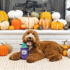 Fringe Studio Halloween Plush Squeaker Dog Toy - Witches Brew Best