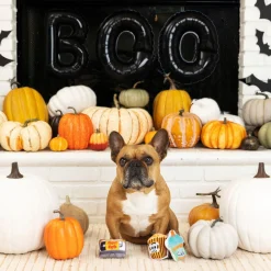 Fringe Studio Halloween Plush Squeaker Dog Toys - Fright Nights 3 Minis Online