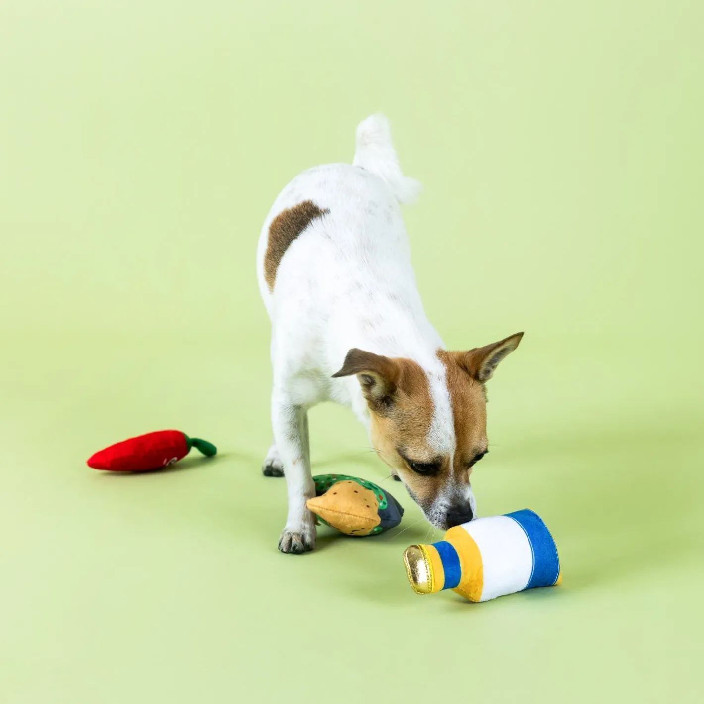 Fringe Studio Happy Hour Beer & Dip 3-piece Small Dog Toys Outlet