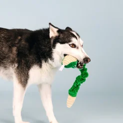 Fringe Studio Hisses & Kisses Tuggable Plush Dog Toy Online
