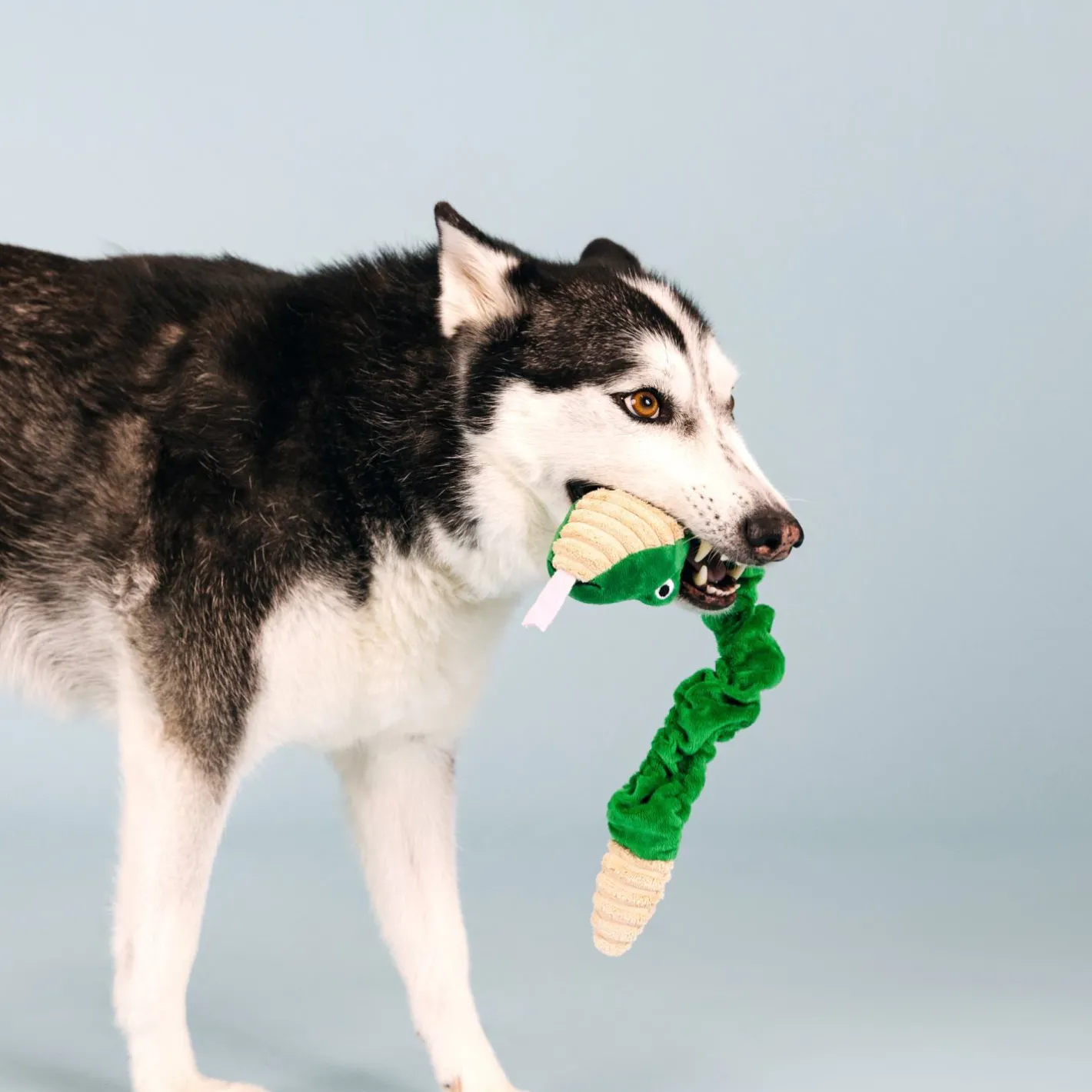 Fringe Studio Hisses & Kisses Tuggable Plush Dog Toy Online