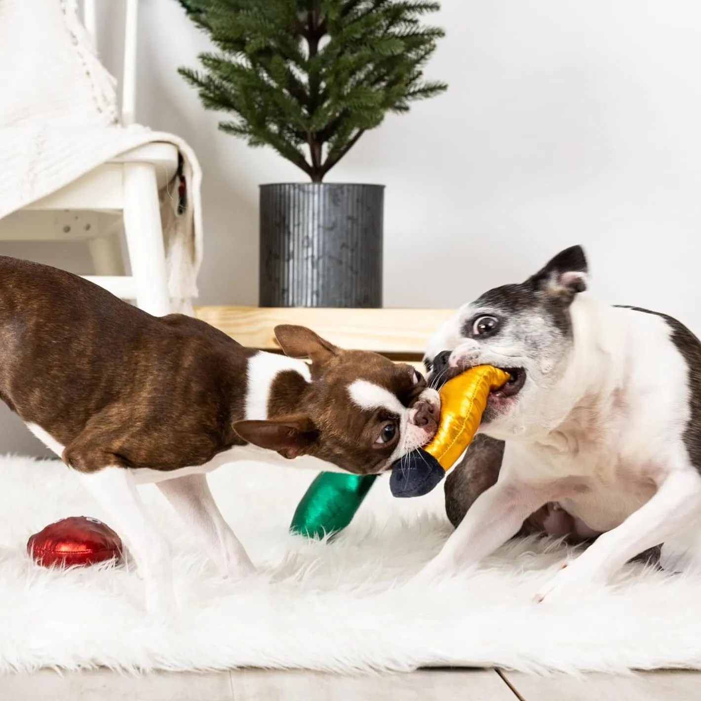 Fringe Studio Light Up My Life Plush 3-Piece Small Dog Christmas Toy Set Sale
