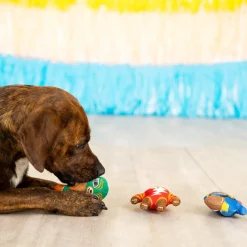 Fringe Studio Little Taste Of Glory Mexican Wrestlers 3-piece Small Dog Toys Outlet