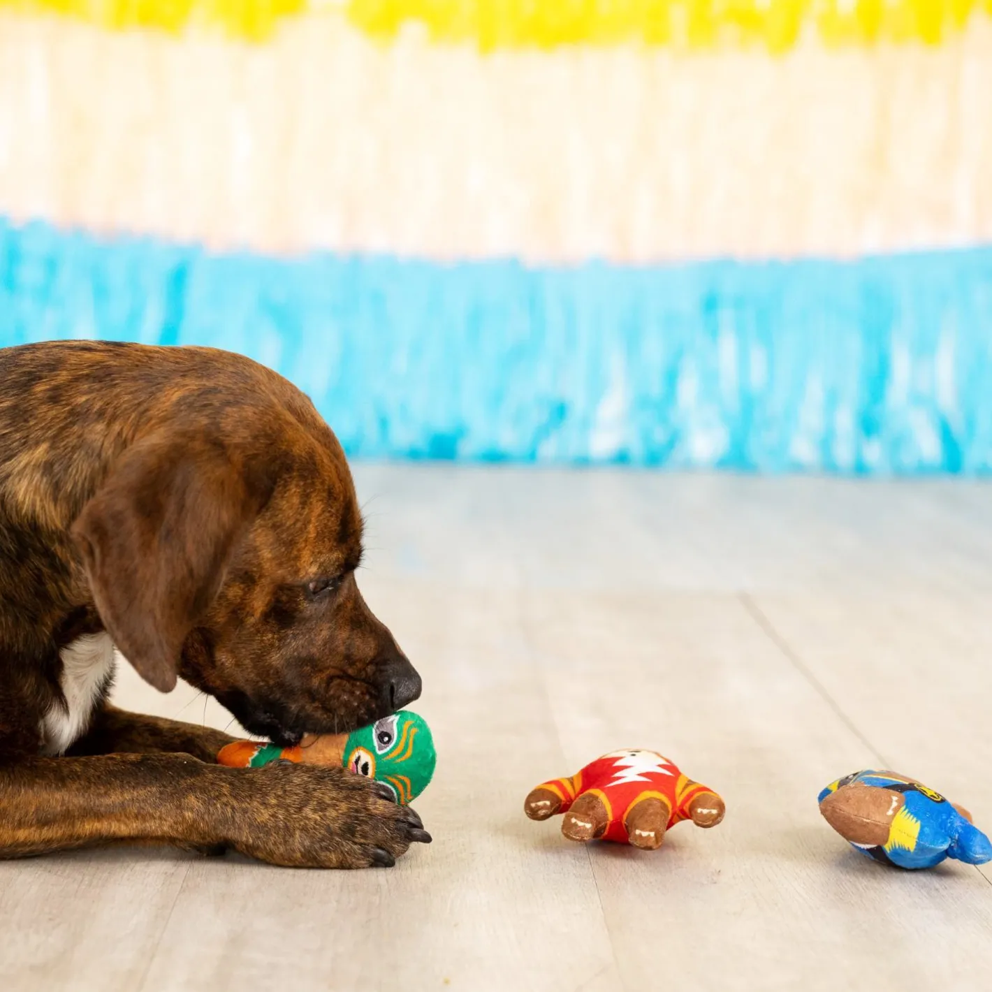 Fringe Studio Little Taste Of Glory Mexican Wrestlers 3-piece Small Dog Toys Outlet