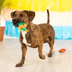 Fringe Studio Little Taste Of Glory Mexican Wrestlers 3-piece Small Dog Toys Outlet