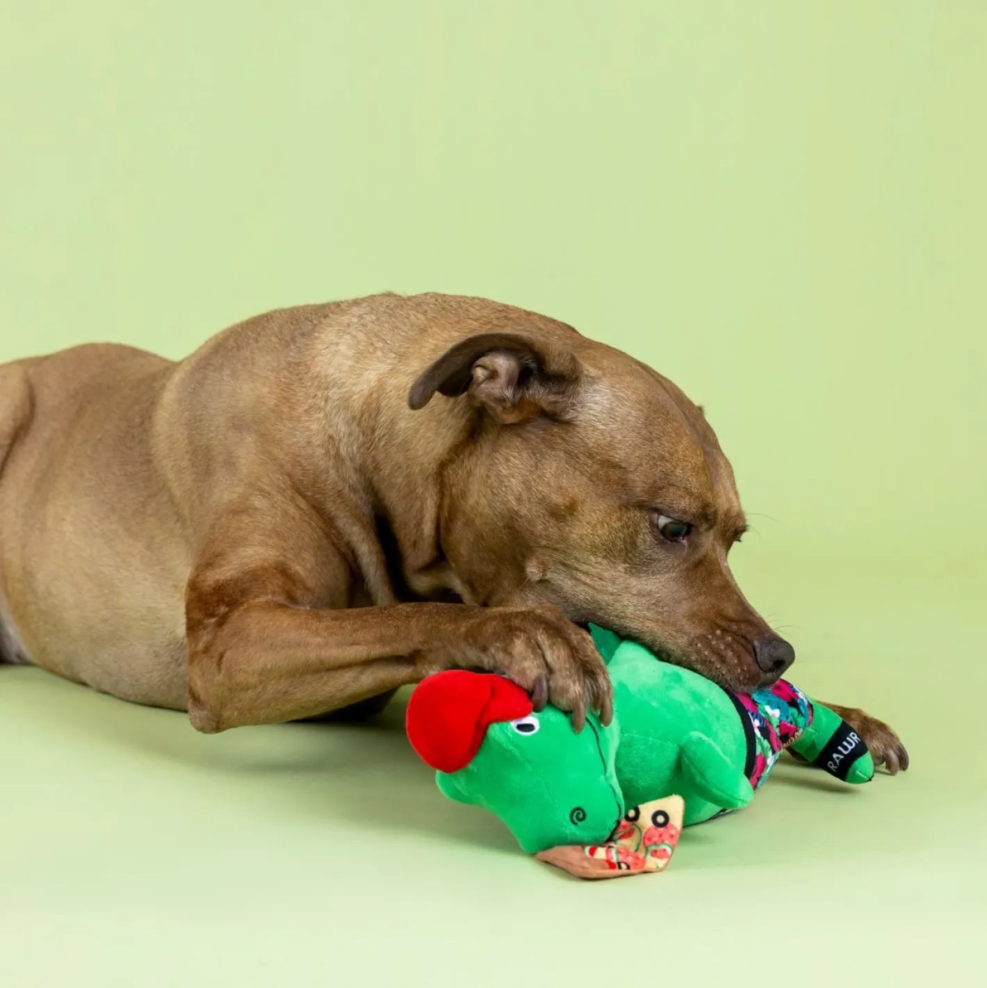 Fringe Studio Pizzasaurus Rex Dinosaur Plush Dog Toy - Extra Large Online