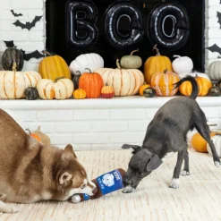 Fringe Studio Plush Bottle Squeaker Dog Toy - Here For The Boo-Ze Outlet
