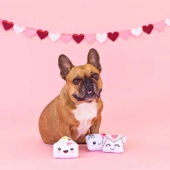 Fringe Studio Plush Squeaker Dog Toy - Sealed With A Kiss 3 Mini Toys Fashion