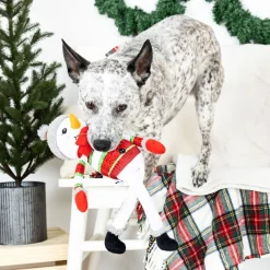 Fringe Studio Too Cute To Chill Plush Squeaker Extra Long Christmas Dog Toy Best
