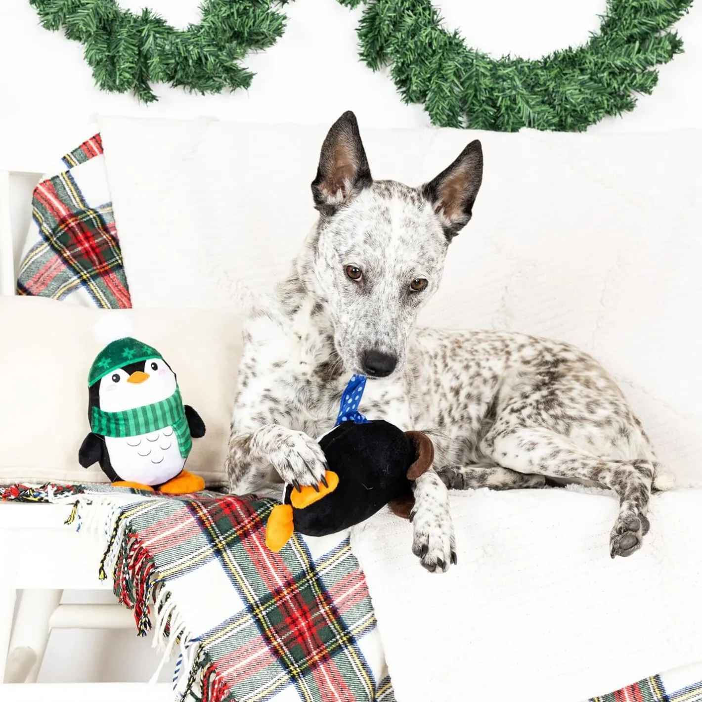 Fringe Studio Winter Waddle Land Plush Squeaker 2-Piece Christmas Dog Toy Outlet