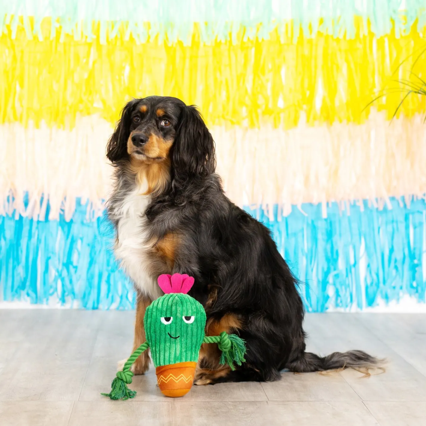 Fringe Studio You Grow Chica! Cactus Plush Dog Toy Best