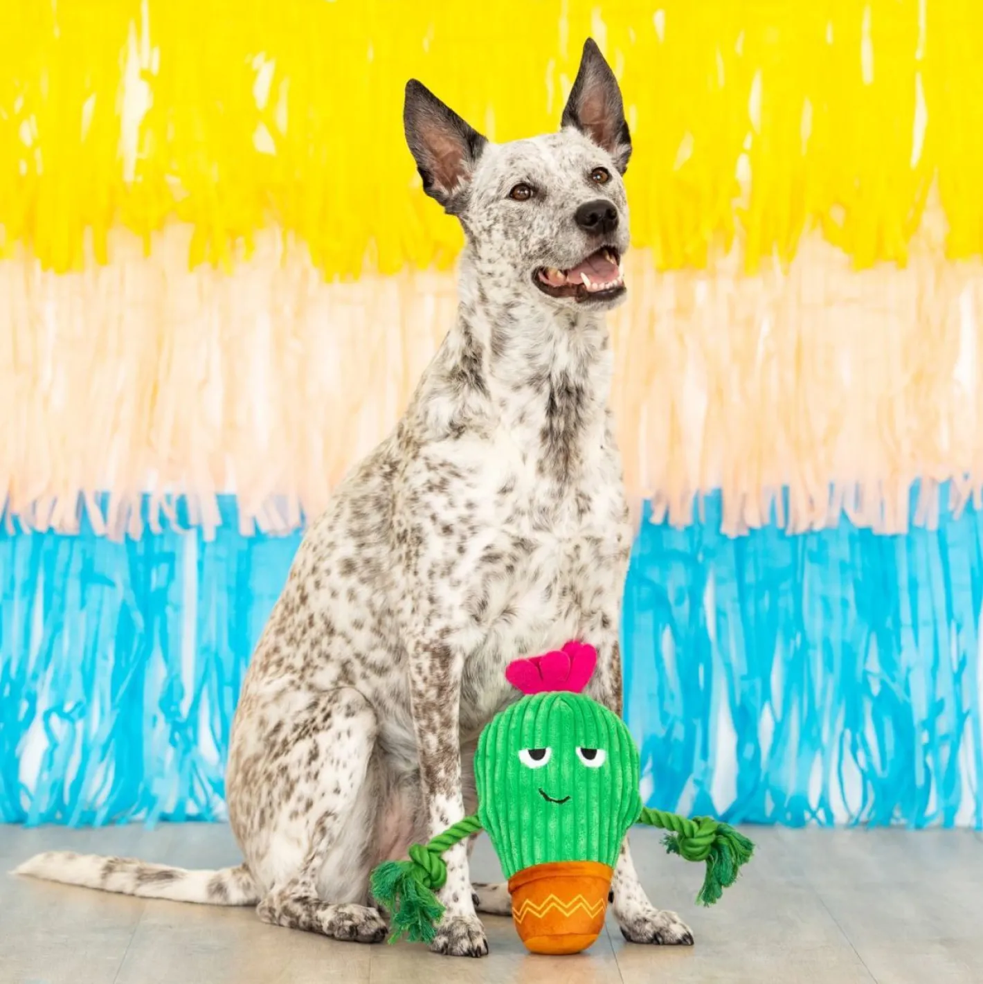 Fringe Studio You Grow Chica! Cactus Plush Dog Toy Best