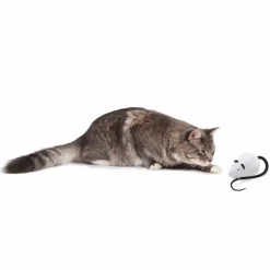 Frolicat Rolorat Automatic Interactive Cat Teaser Toy Fashion