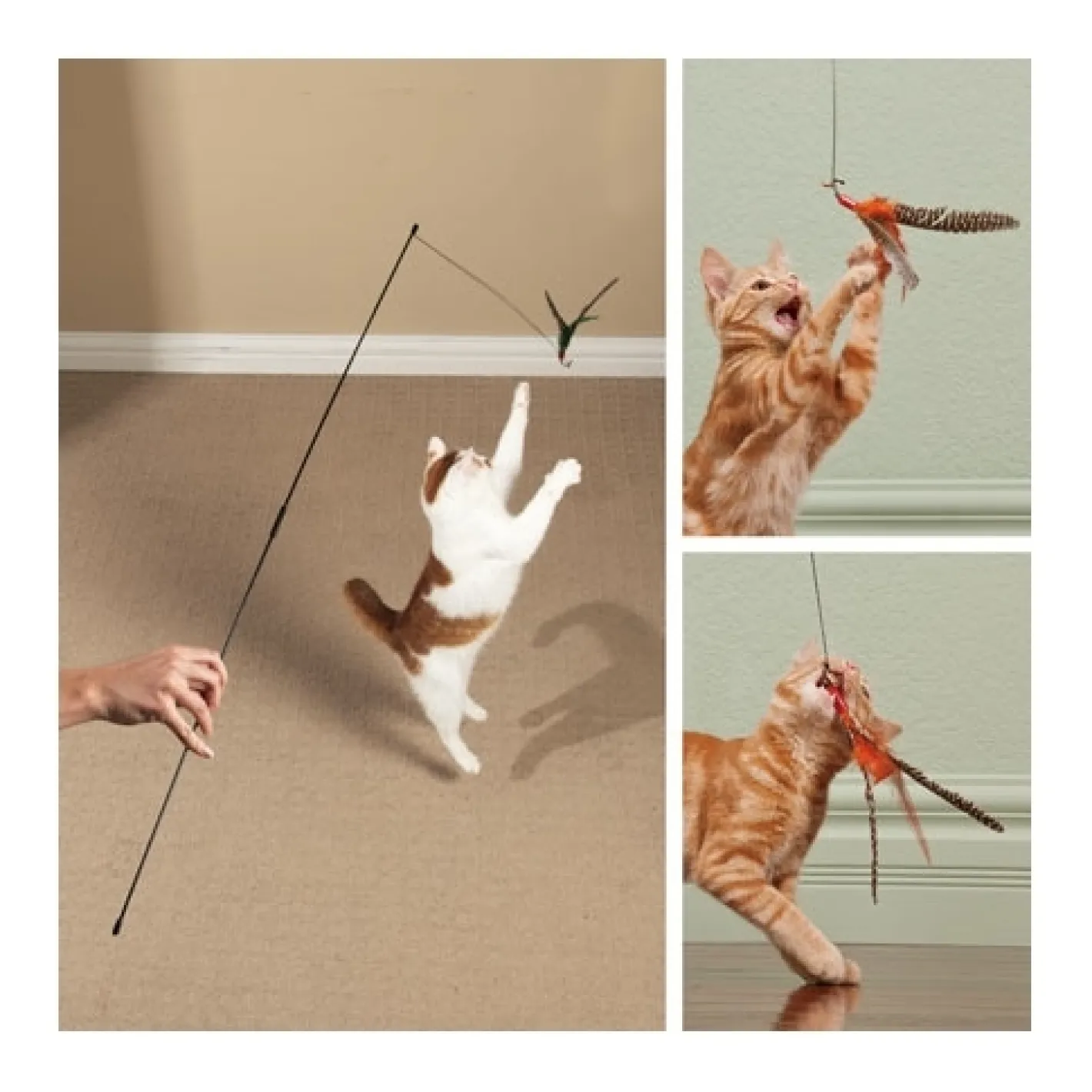Go Cat Da Bird Original Swivel Cat Feather Teaser Online