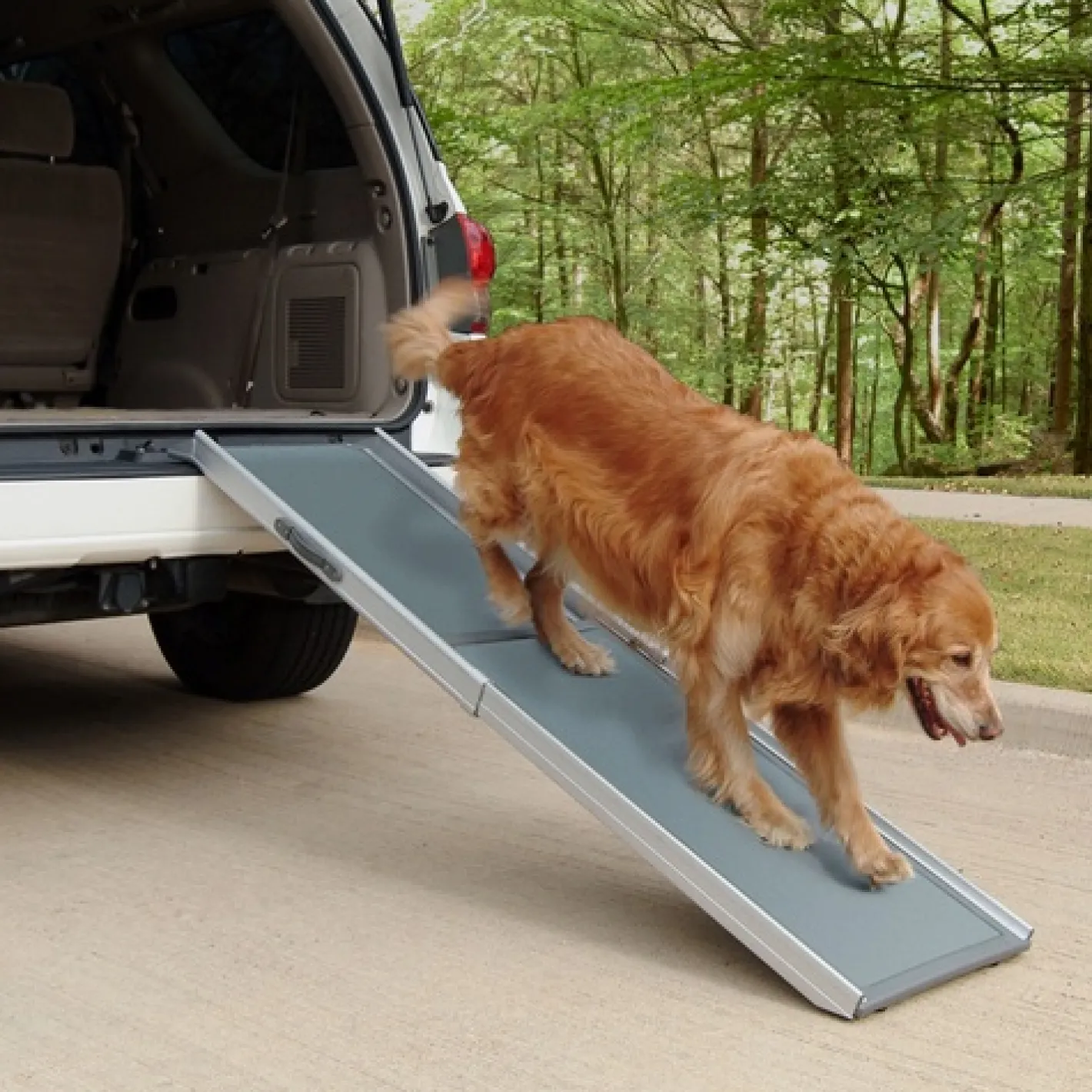 Petsafe Happy Ride (Solvit) Deluxe Non-Slip Telescopic Pet Ramp - 2 Sizes Clearance