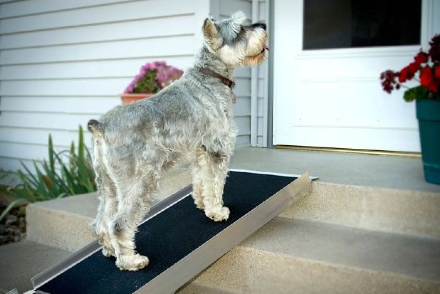 Petsafe Happy Ride (Solvit) Deluxe Non-Slip Telescopic Pet Ramp - 2 Sizes Clearance
