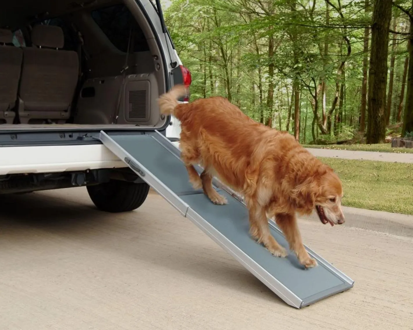 Petsafe Happy Ride (Solvit) Deluxe Non-Slip Telescopic Pet Ramp - 2 Sizes Clearance