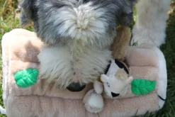 Outward Hound Hide-a-Squirrel Plush Dog Puzzle with Squeaker Squirrels Outlet