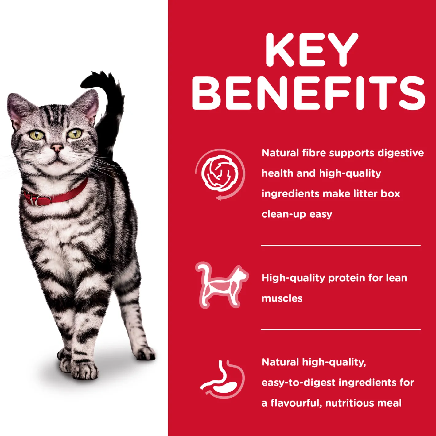 Hills Science Diet Adult Indoor Dry Cat Food Hot