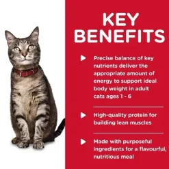 Hills Science Diet Adult Tender Dinners Chicken Cat Food 156g x 24 Cans Outlet