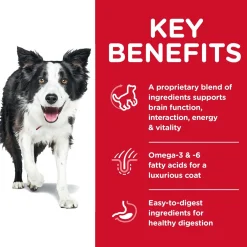 Hills Science Diet Adult 7+ Youthful Vitality Dry Dog Food Clearance