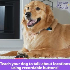 Hunger for Words Talking Pet Next Words: Locations Fashion