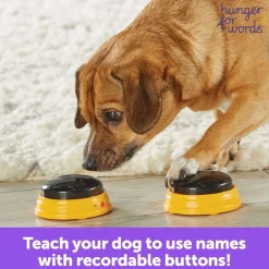 Hunger for Words Talking Pet Next Words: Names Sale