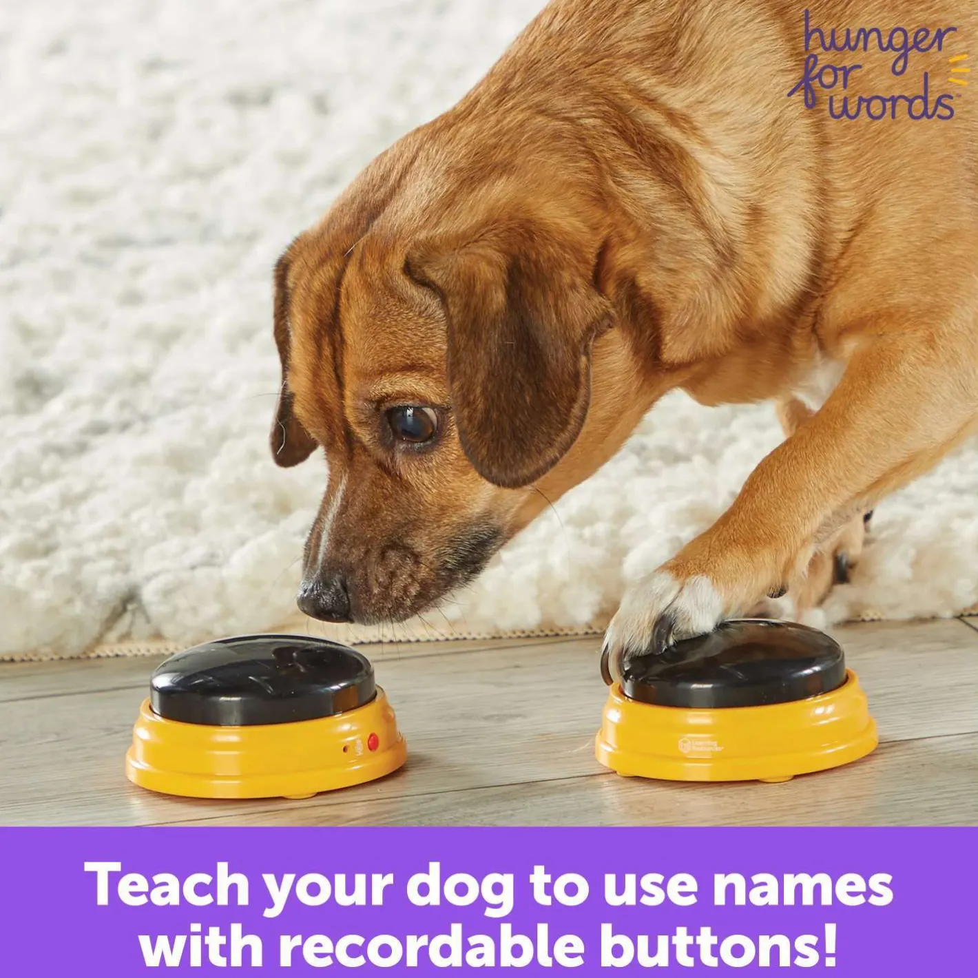 Hunger for Words Talking Pet Next Words: Names Sale