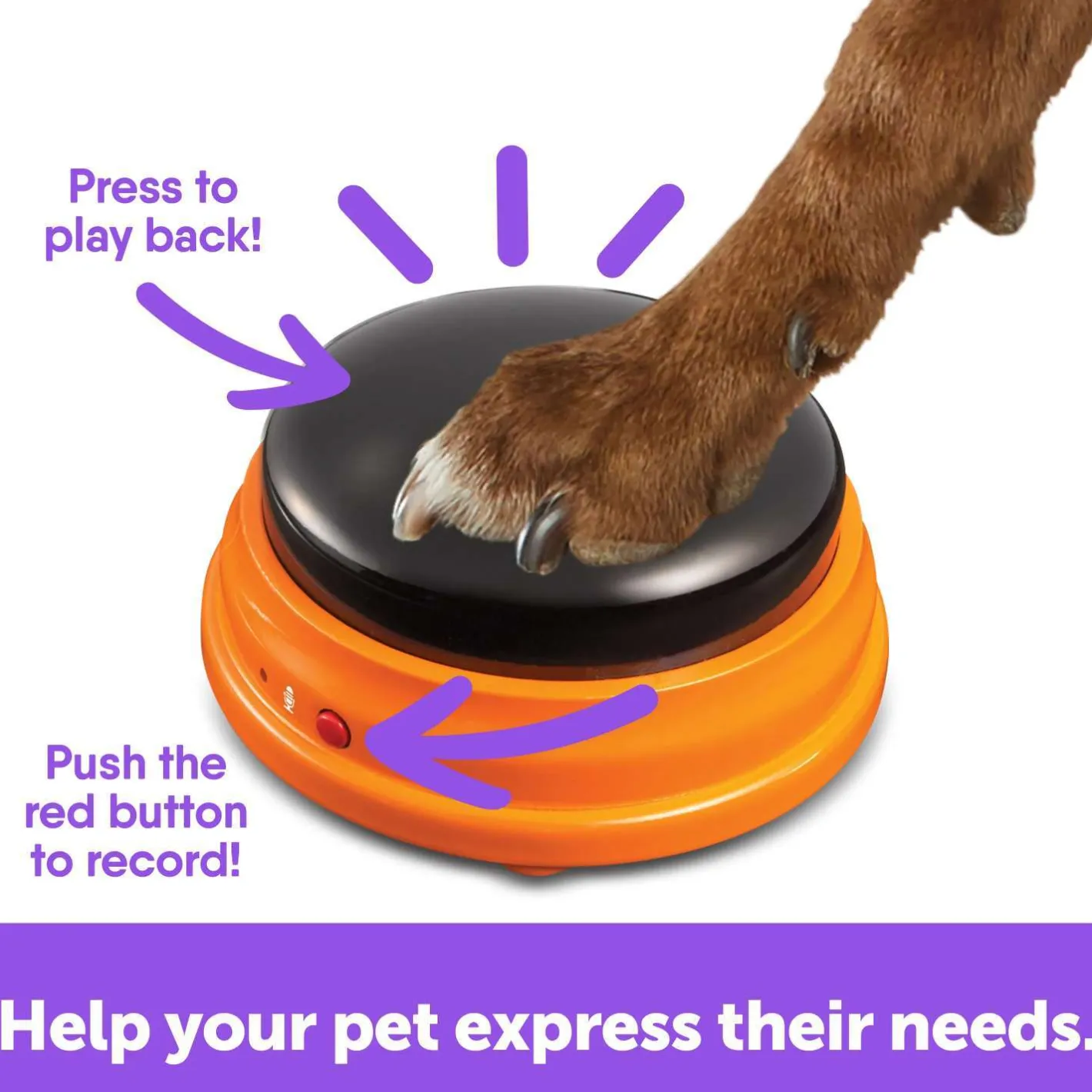 Hunger for Words Talking Pet Starter Set Hot