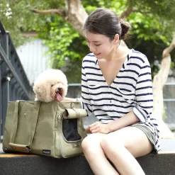 Ibiyaya Canvas Pet Carrier Tote for Cats & Dogs - Light Green Discount
