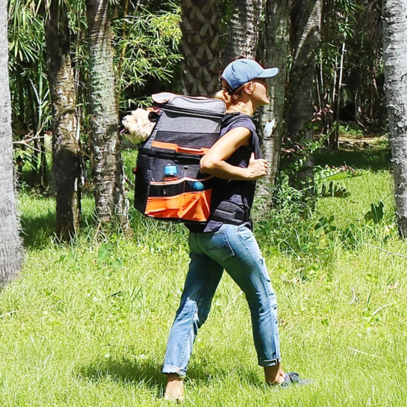 Ibiyaya Double-Decker Two-tier Pet Backpack for Cats & Small Dogs Outlet