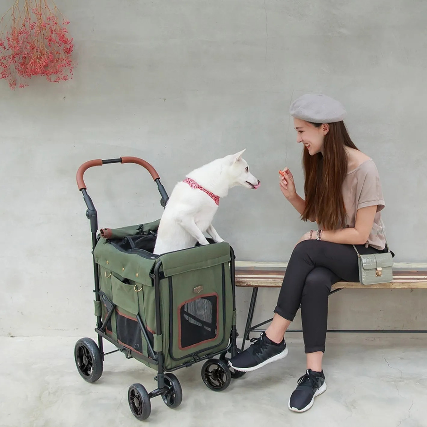 Ibiyaya Gentle Giant Dual Entry Easy-Folding Pet Wagon Stroller Pram for Dogs up to 25kg Sale