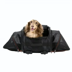 Ibiyaya JetPaw: Expandable Pet Carrier & Backpack - Obsidian/Orange Online