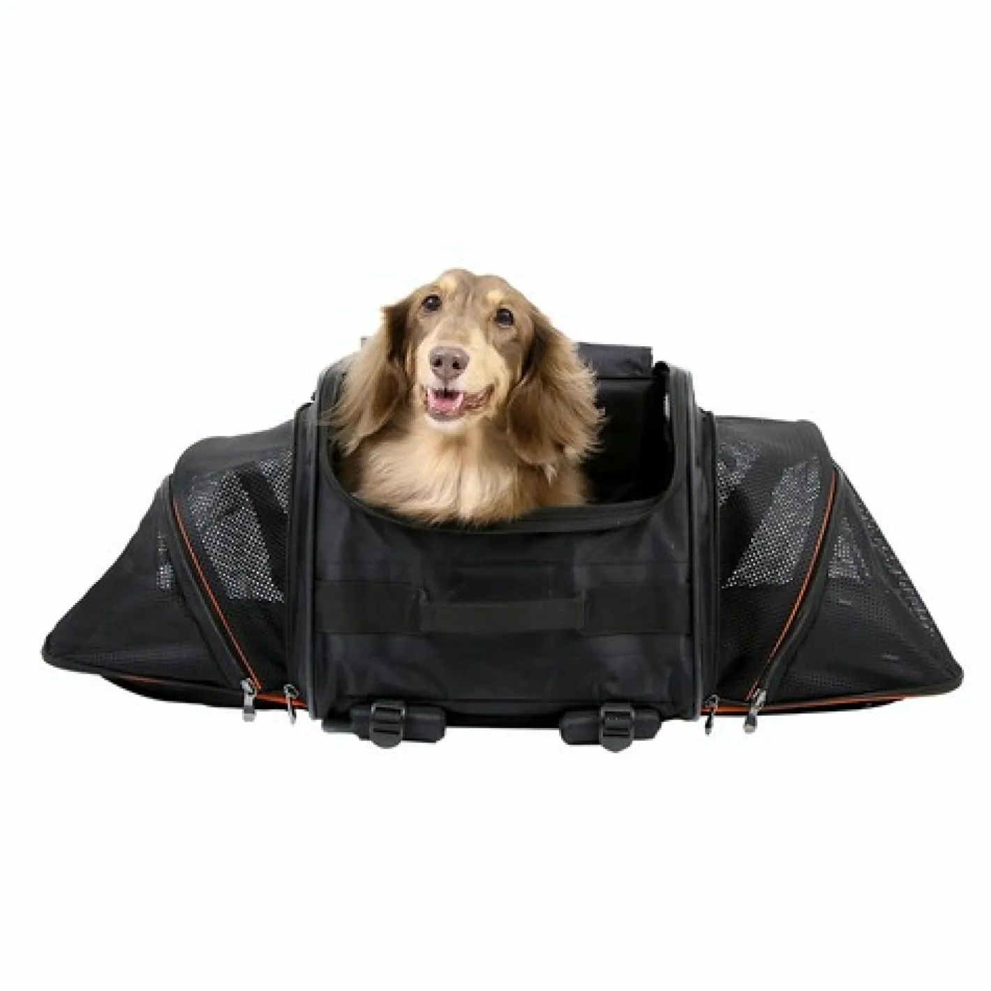 Ibiyaya JetPaw: Expandable Pet Carrier & Backpack - Obsidian/Orange Online