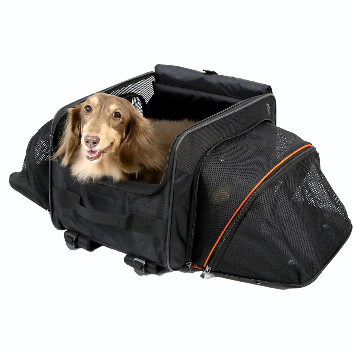 Ibiyaya JetPaw: Expandable Pet Carrier & Backpack - Obsidian/Orange Online