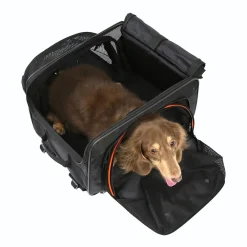 Ibiyaya JetPaw: Expandable Pet Carrier & Backpack - Obsidian/Orange Online