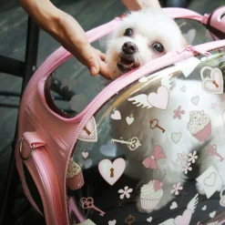 Ibiyaya Transparent Pet Carrier - Pink Valentine Best